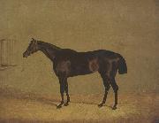 The Racehorse 'Mulatto' in A Stall John Frederick Herring